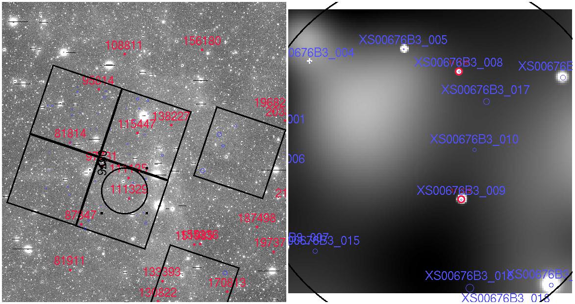 dual optical Xray image