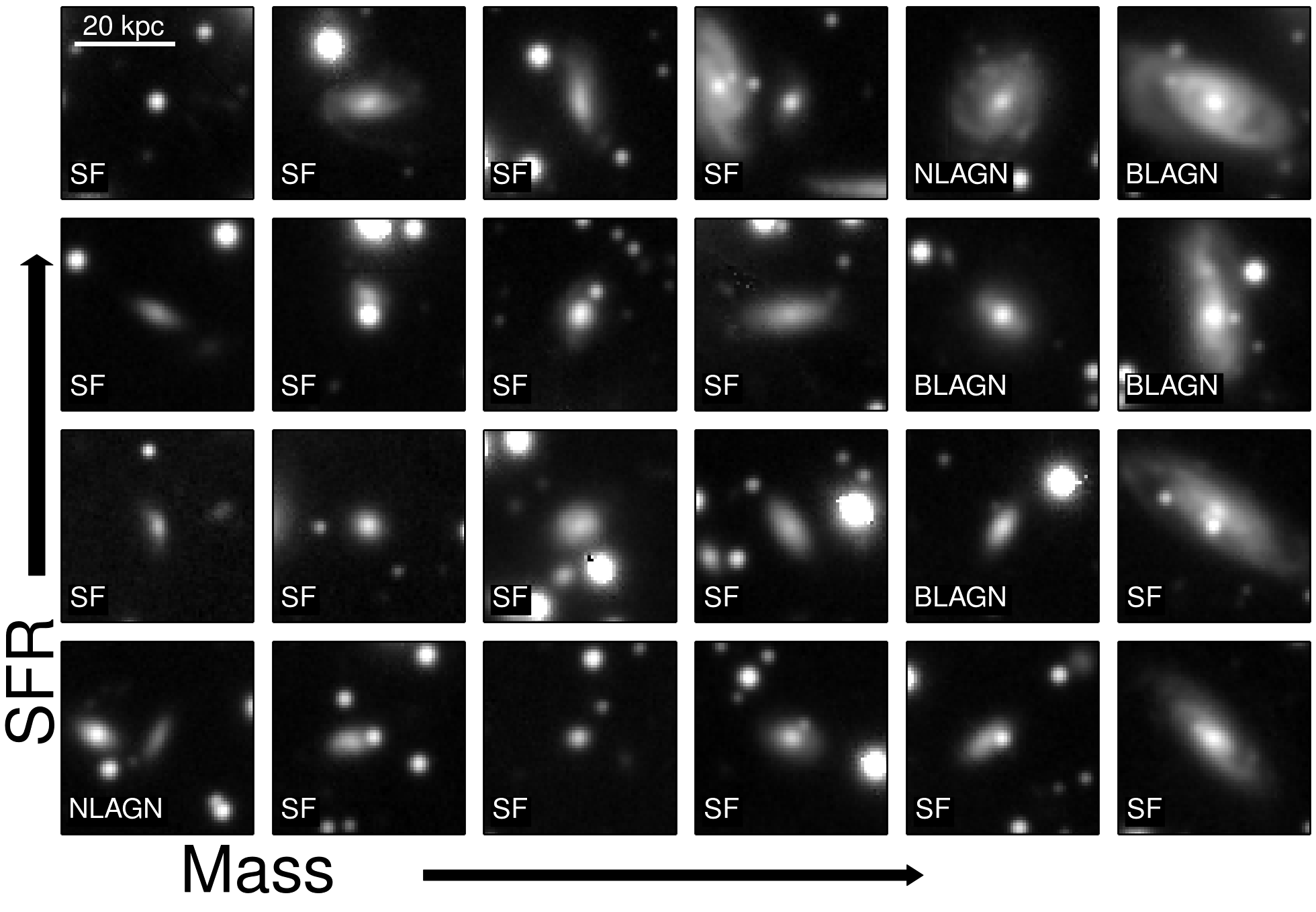 Hα emitter morphologies